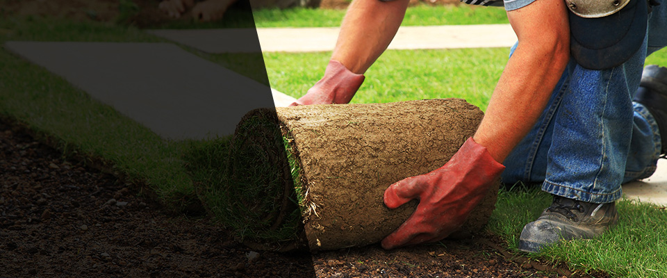 Ypsilanti Landscapers